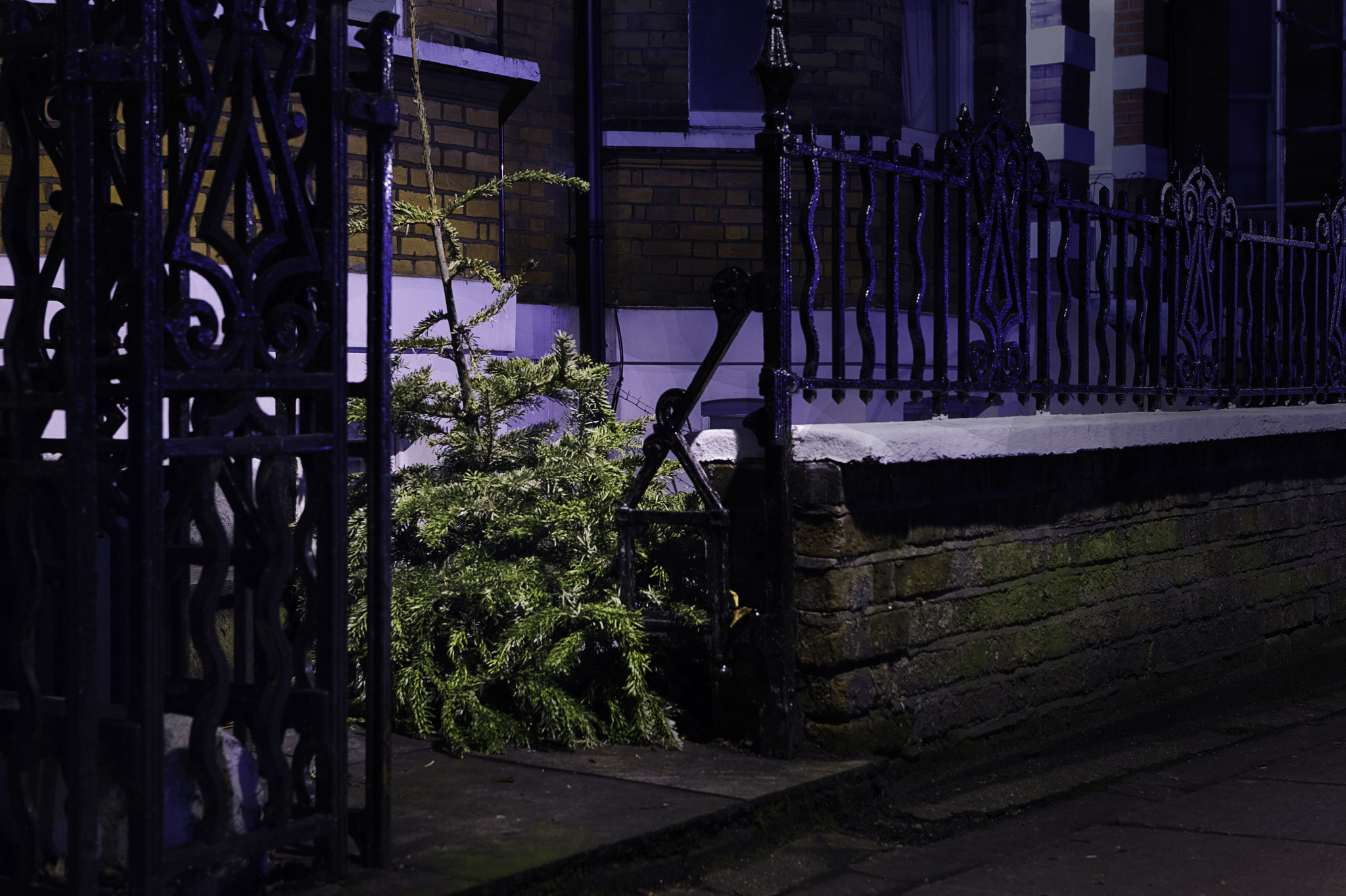 christmas tree waste christmas tree waste