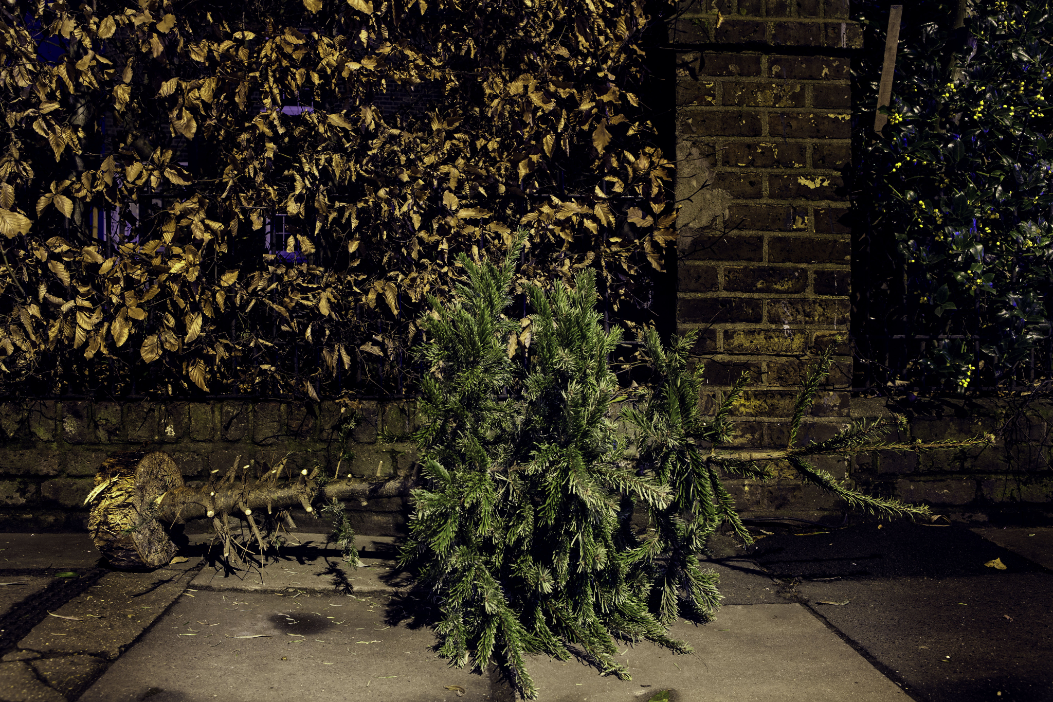 christmas tree waste christmas tree waste